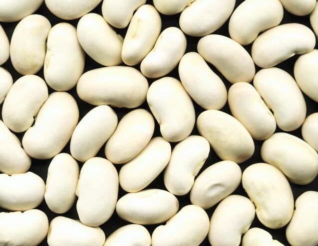 Kidney Bean Extract