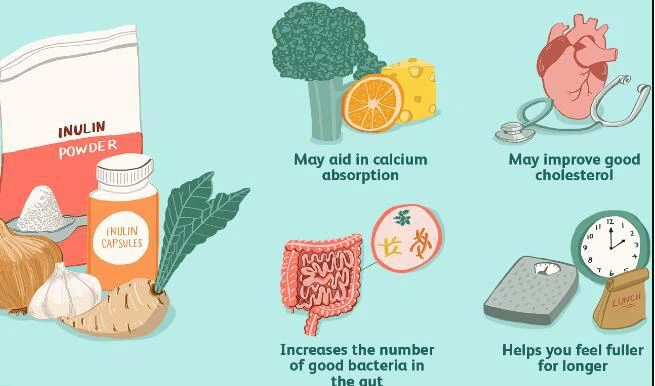 Is inulin safe during pregnancy