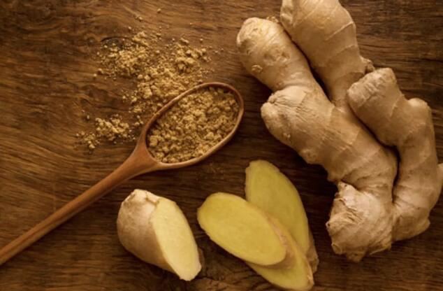 What is gingerol used for