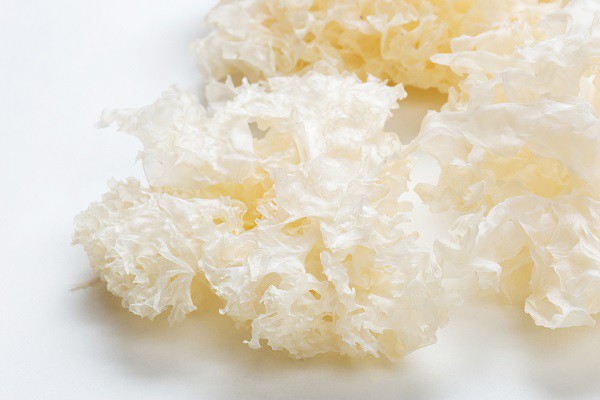 Tremella Fuciformis