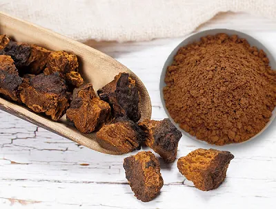 Chaga grybų ekstrakto ID testavimas: autentiškumas ir kokybė