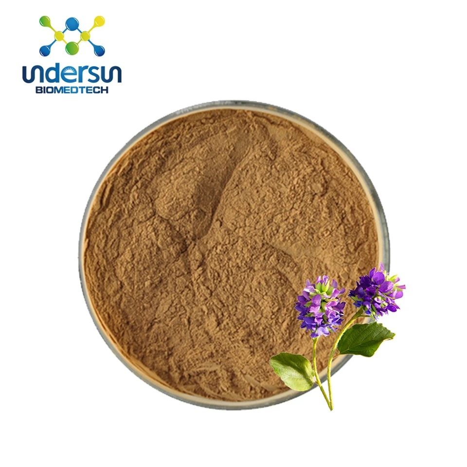 Medicago Sativa ekstraktas