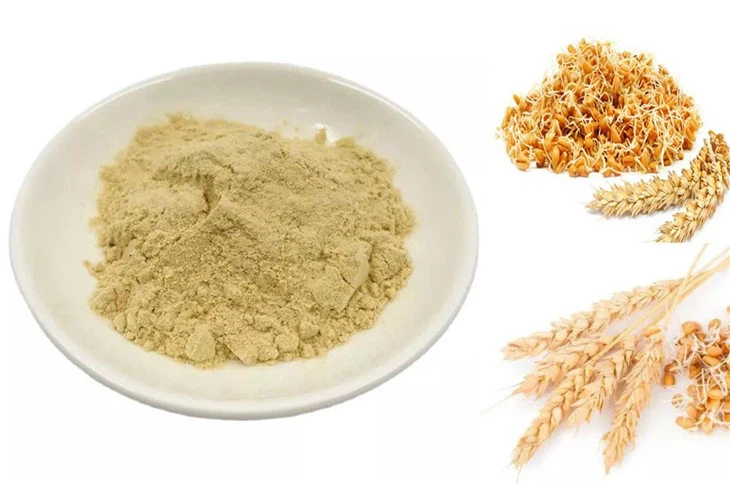 Wheat Germ Extract