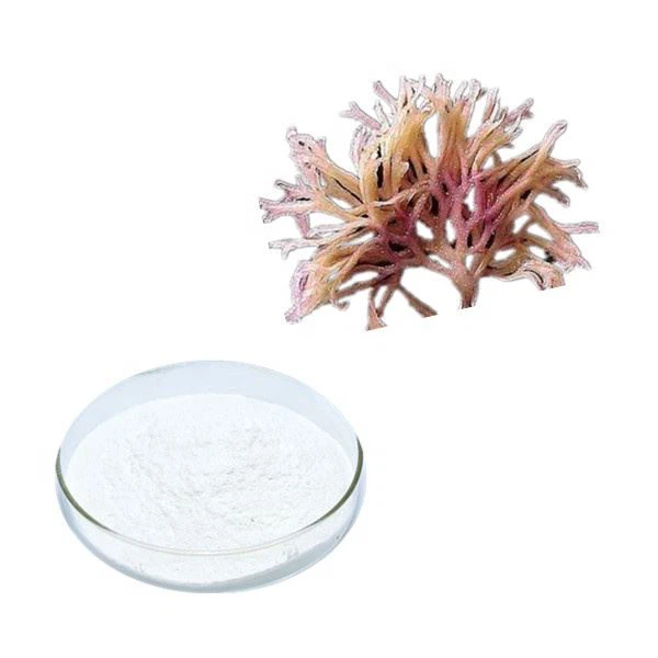 Chondrus Crispus ekstraktas
