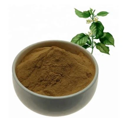 Gymnema Sylvestre ekstraktas