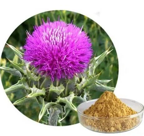 Pienas Thistle Silymarin