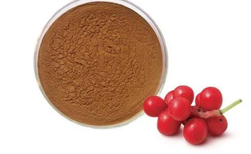 „Schisandra“ uogų ekstraktas