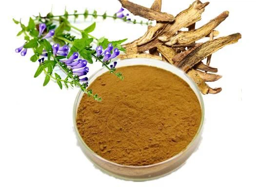 Scutellaria Baicalensis šaknų ekstraktas