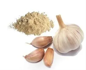 Birūs česnako milteliai