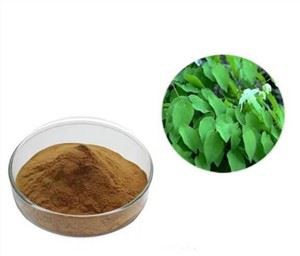 Raguotas ožkų piktžolių ekstraktas