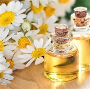 Anthemis Nobilis gėlių aliejus