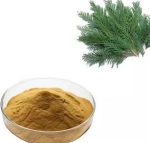 Platycladus Orientalis ekstraktas