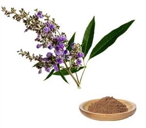 Vitex Agnus Castus ekstraktas