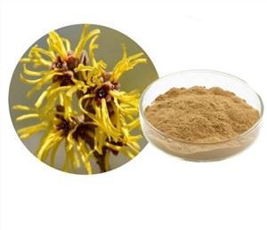 Raganos lazdyno ekstraktas