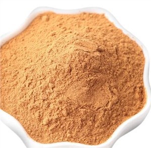 Coleus Forskohlii Rhizome Extract